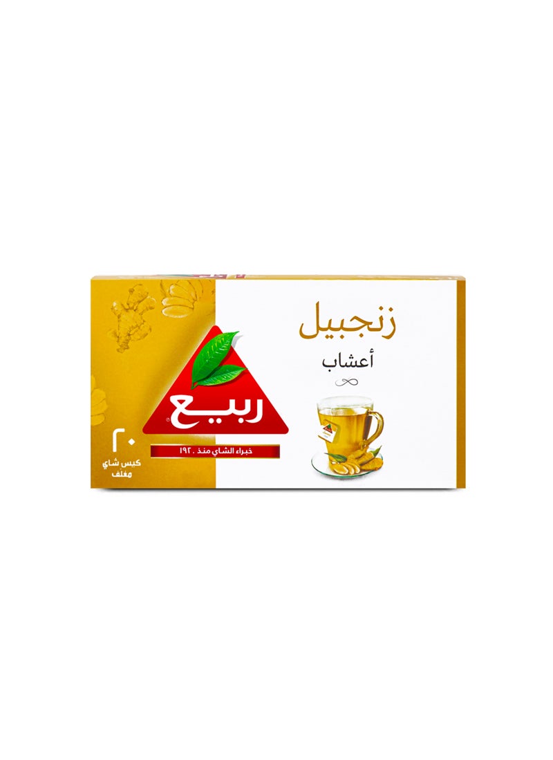 Rabea tea Ginger Tea 20 Teabags (24g) - Image 3